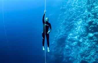 Free Diving Competitions