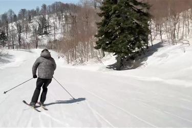 Skiing