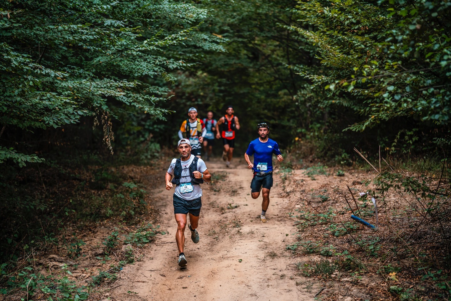 Merrell Istanbul Ultra