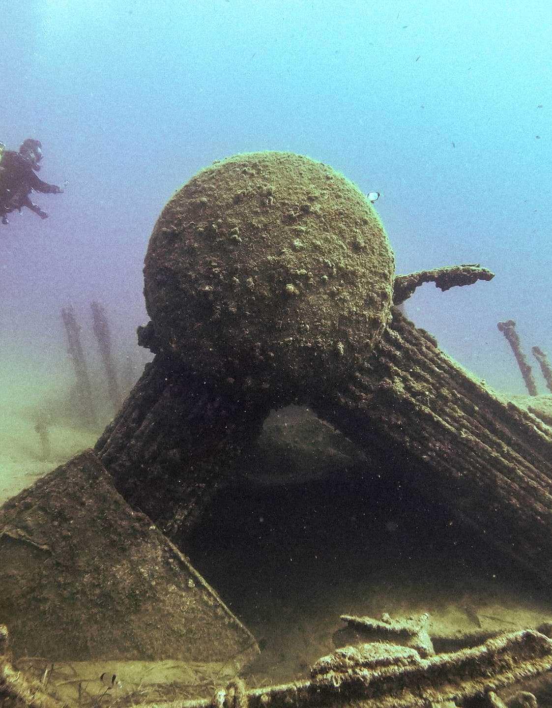 HMS Louis