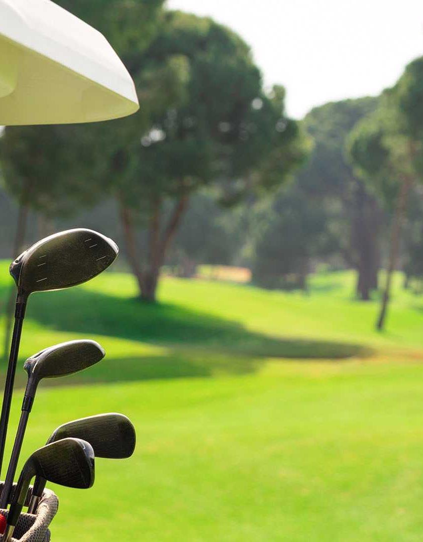 Carya 